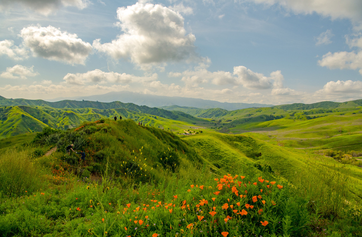 VoIP & CRM Integration for a Financial Services Firm in Chino Hills, CA 